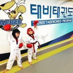 국가대표태비태권도