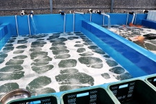 어업회사법인가람