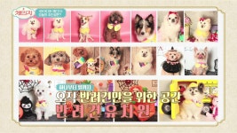 나나리펫하우스