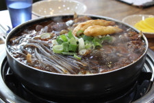 코야코