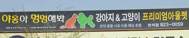 야옹아멍멍해봐 반석점