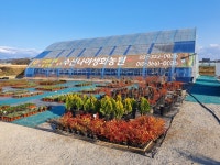 남사수산나농원
