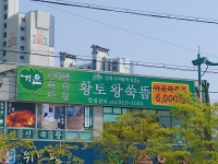 기운 황토왕쑥뜸