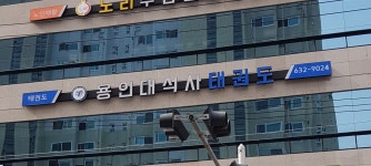 용인대석사태권도