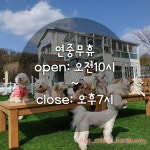 애견학교 바니버니 애견훈련소&애견호텔