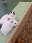해피주 수원점