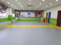 정인부부태권도장