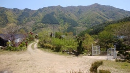 지리산털보농원펜션