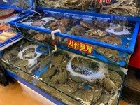 순천만상회