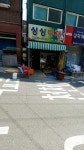 싱싱야채