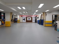 한국체대남일태권도체육관