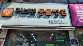 러브펫동물병원