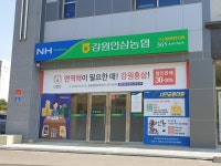 강원인삼농업협동조합 춘천이편한지점 | 강원인삼농협 춘천e편한지점