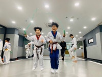 한반도태권도