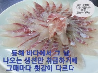 봉포항어부횟집