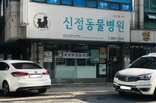 신정동물병원