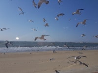 23호할머니손칼국수