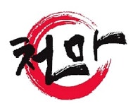 한국체대천마태권도