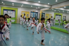 한국체대천마태권도