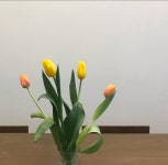 필그라운드