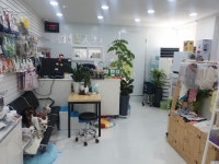 하나애견