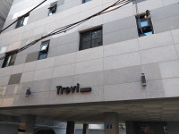 트레비빌