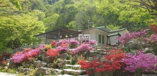 성주 산그늘펜션