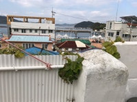 학림미정민박