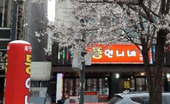 뚱언니네