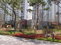 시립다산푸른숲어린이집