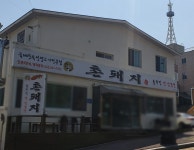 촌돼지