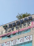 한빛정형외과의원
