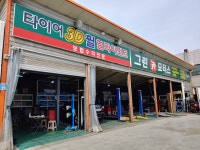 그린카모터스