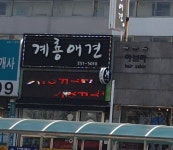 계룡애견