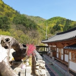 예촌