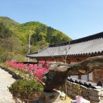 예촌