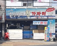 울산정자참가자미