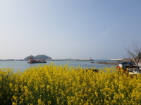 마도섬카페