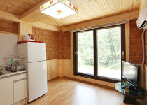 나무와 새 펜션