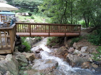 나무와 새 펜션