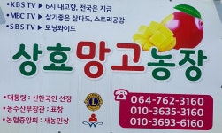 상효망고농장