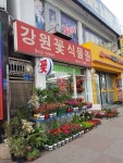 강원꽃식물원