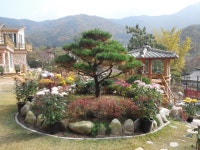 어울림편백펜션