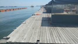 구매항 수진좌대 바다이야기