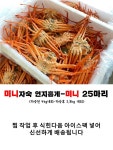 블루수산