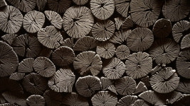 치악산참숯가마