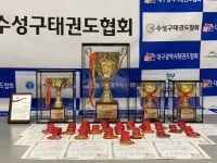 태극태권도
