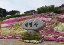 대명사