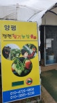 정현딸기농장