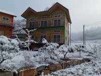 대관령지니하우스